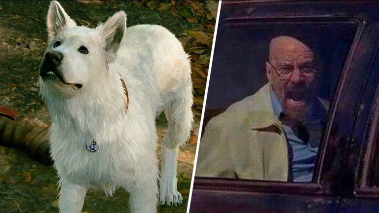 Jogador de Baldur’s Gate 3 acidentalmente mata Scratch the dog enquanto brincava de buscar
