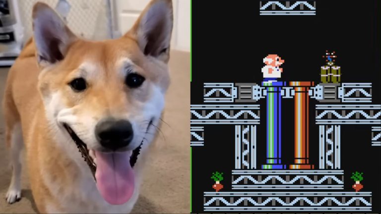 Um cachorro chamado manteiga de amendoim acabou de vencer um jogo de quebra-cabeça obscuro do NES