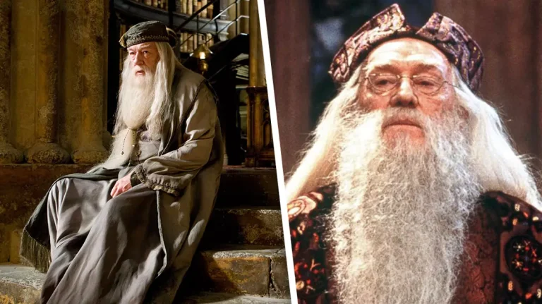 Fãs de Harry Potter unidos em torno do elenco do reboot de Dumbledore
