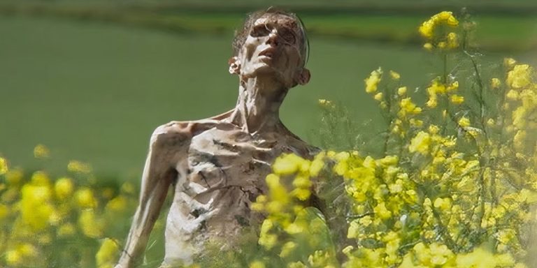 28 anos depois revisão: Danny Boyle e Alex Garland vão medieval