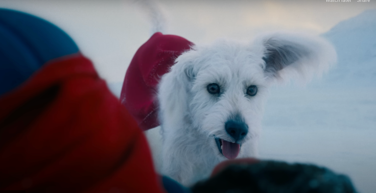 A promoção Puppy Bowl da Supergirl continua com o foco em animais fofos do novo DCU