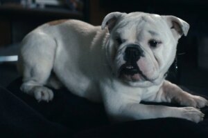 Crítica do episódio 5 da 5ª temporada de The Boys: bagunça servida quente