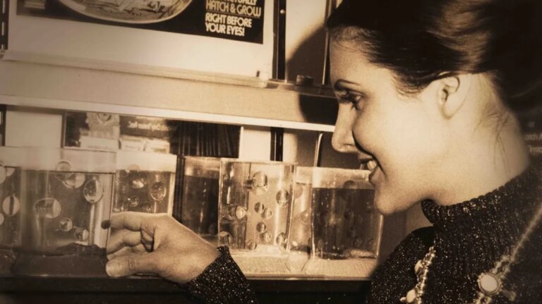 Incríveis documentaristas de Sea Monkeys ao vivo discutem uma grande batalha por pequenas criaturas