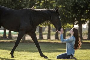 Crítica da beleza negra: filme da Disney + se inclina para os tropos da Horse Girl