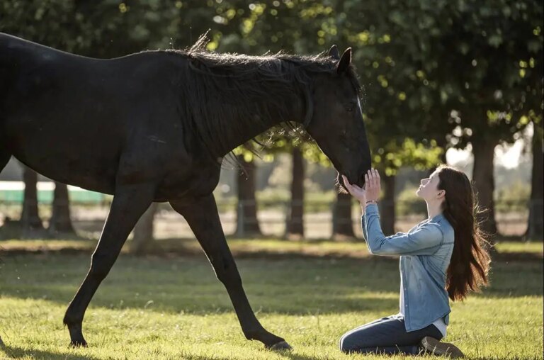 Crítica da beleza negra: filme da Disney + se inclina para os tropos da Horse Girl
