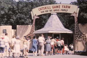 Novo documentário American Zoo une a nostalgia e o inacreditável