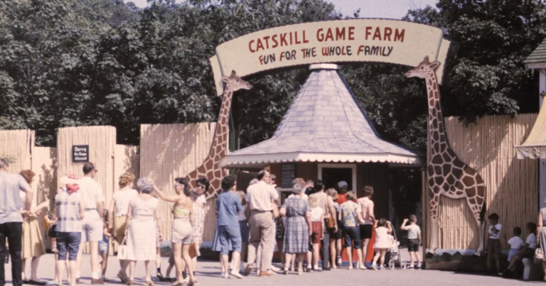 Novo documentário American Zoo une a nostalgia e o inacreditável 
